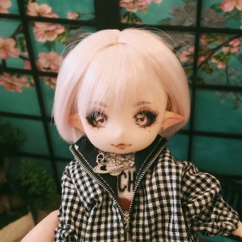 Обзор покупок с Dollstock