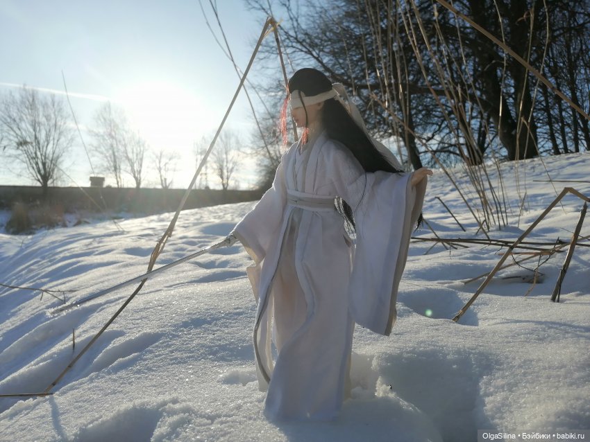 Зимний танец — Коллекции шарнирных