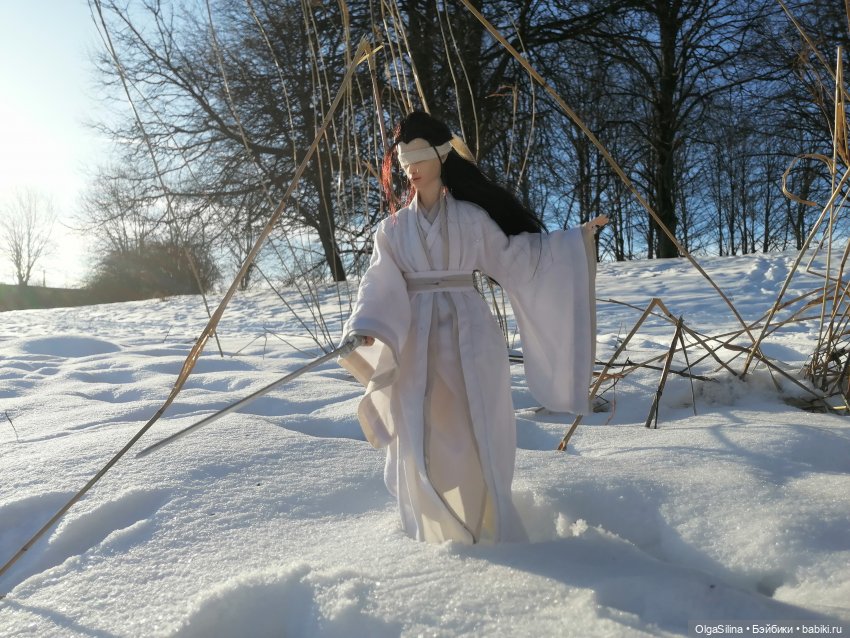 Зимний танец — Коллекции шарнирных