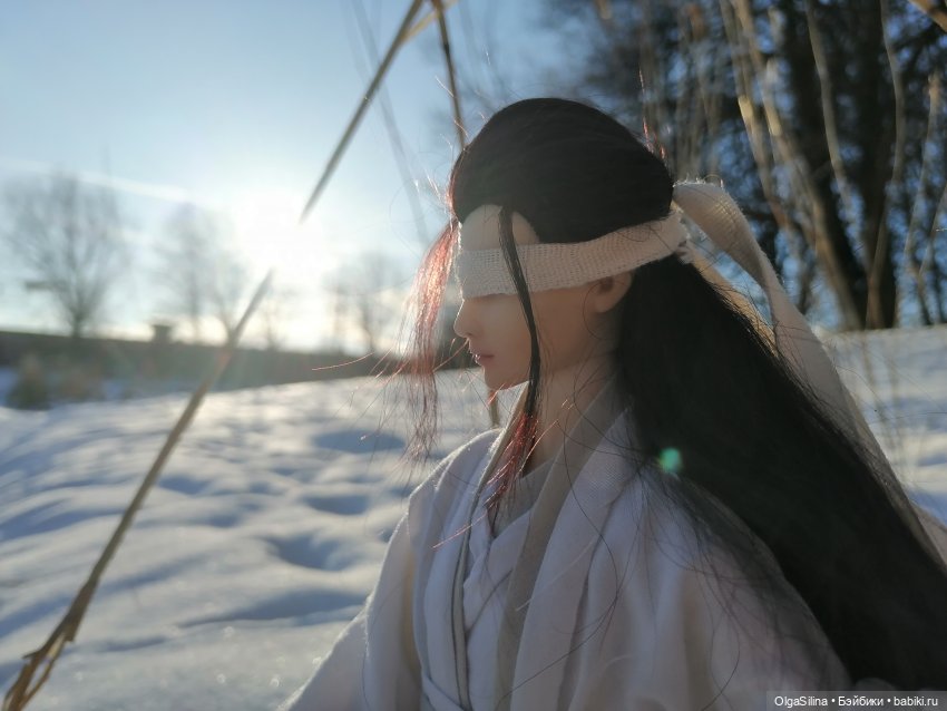 Зимний танец — Коллекции шарнирных