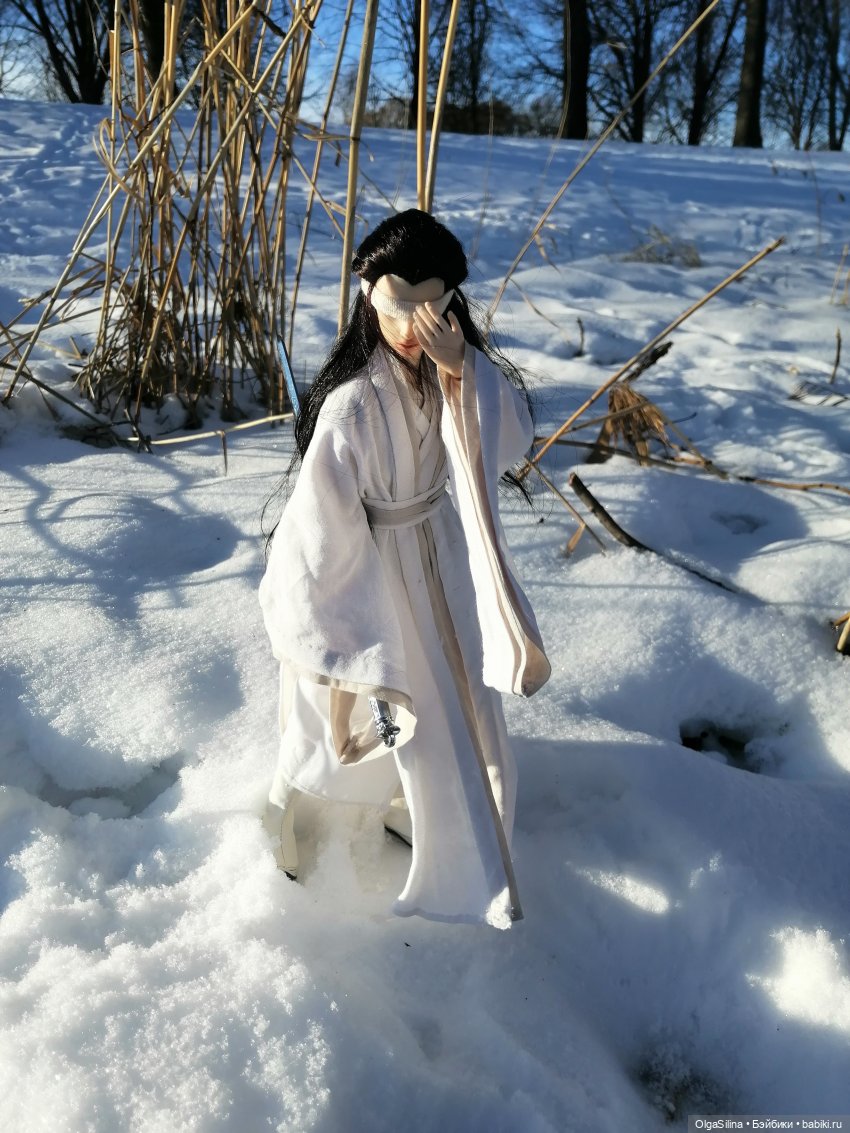 Зимний танец — Коллекции шарнирных