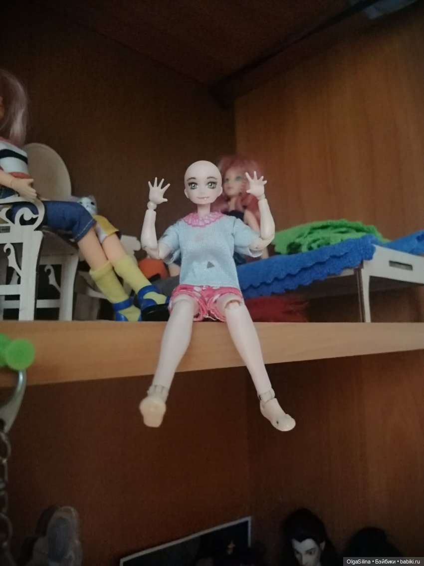 Аши - моя карманная кошка (фото 2)