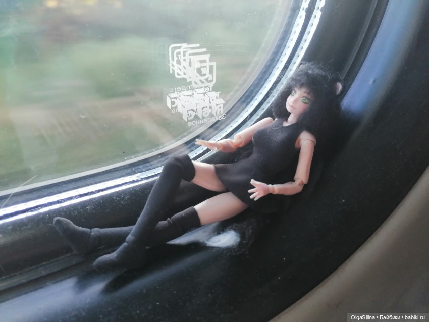 Аши - моя карманная кошка