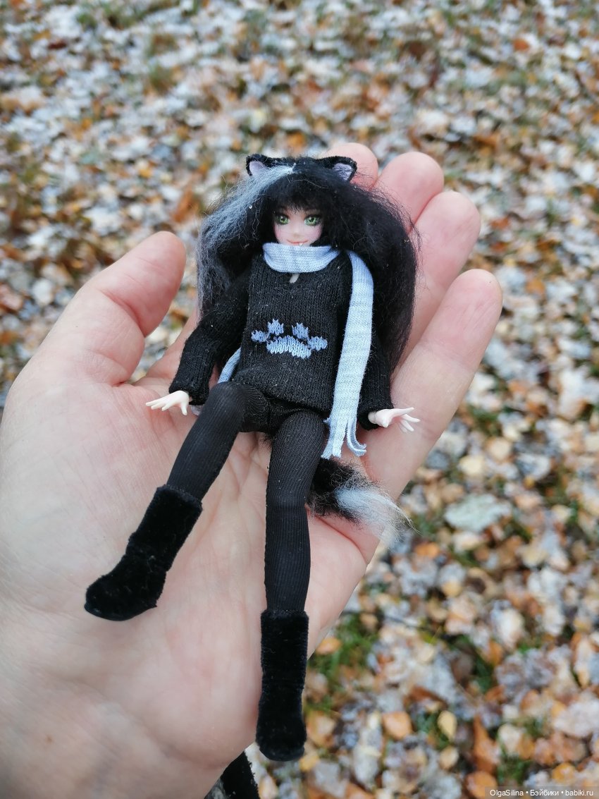 Аши - моя карманная кошка