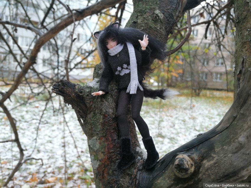 Аши - моя карманная кошка (фото 9)