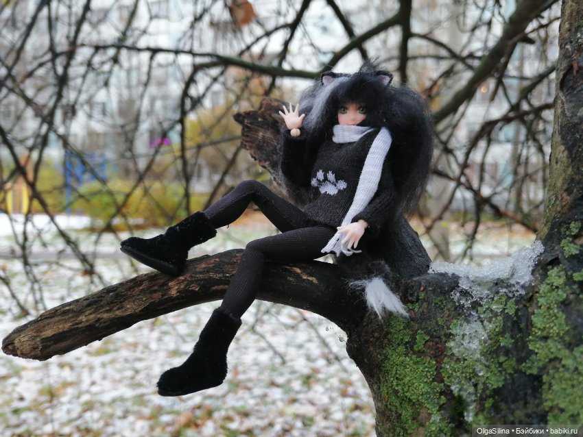 Аши - моя карманная кошка (фото 10)