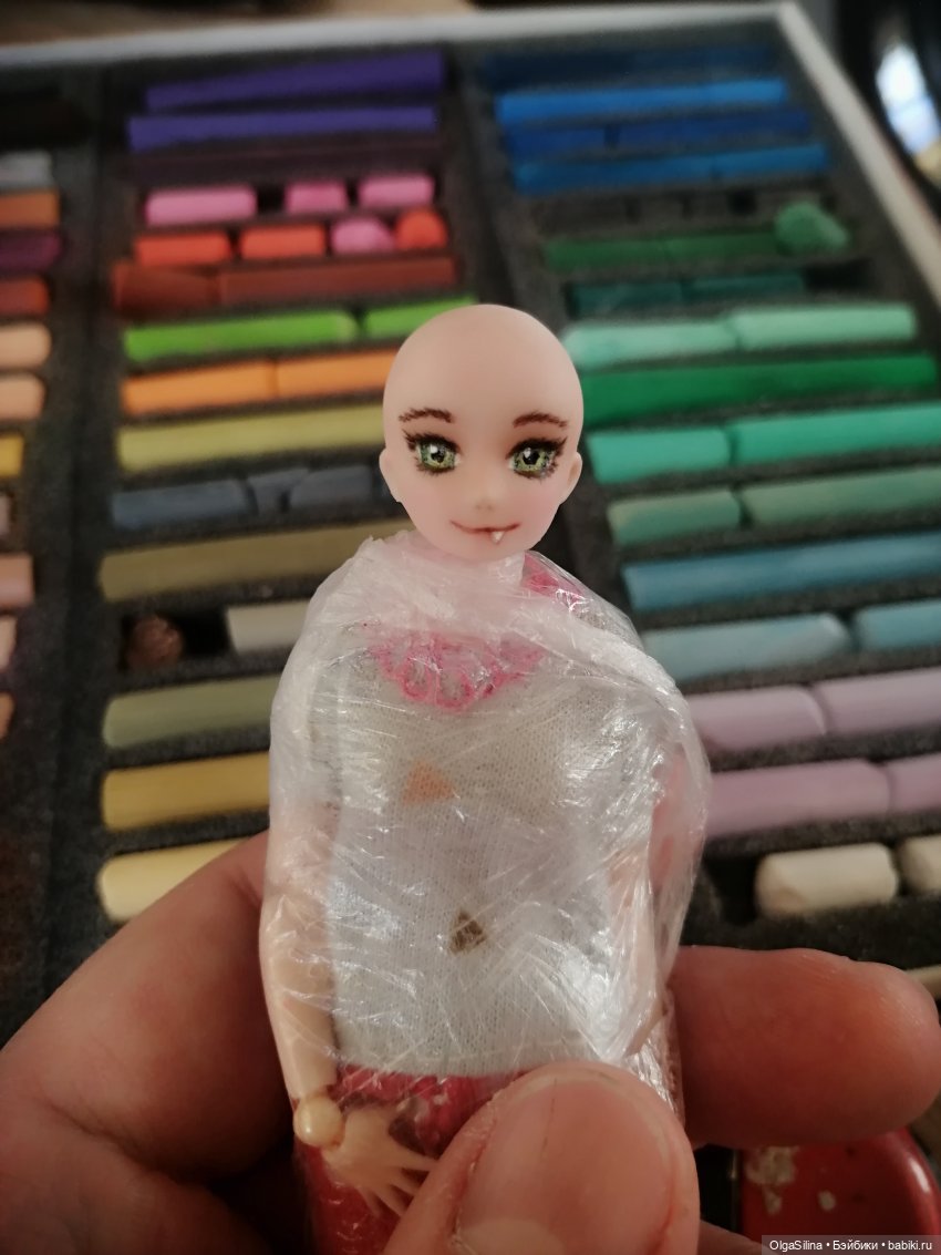 Аши - моя карманная кошка