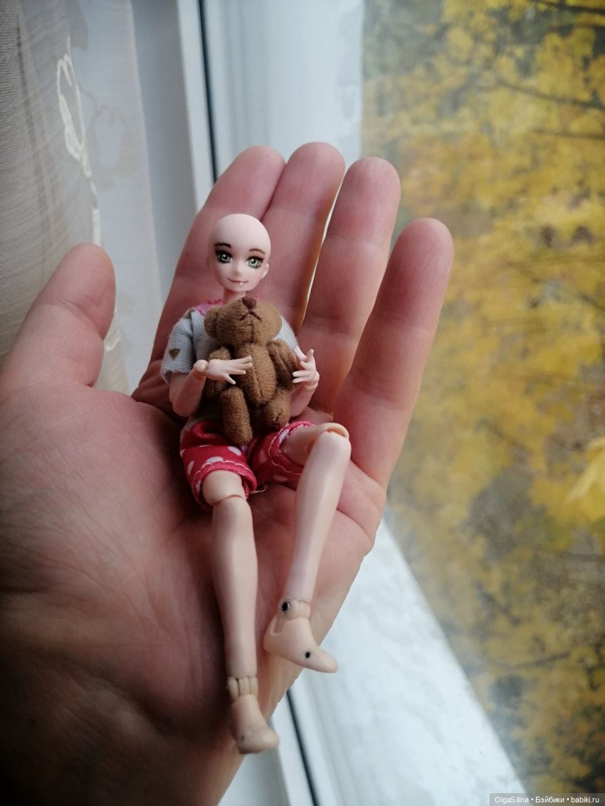 Аши - моя карманная кошка (фото 3)