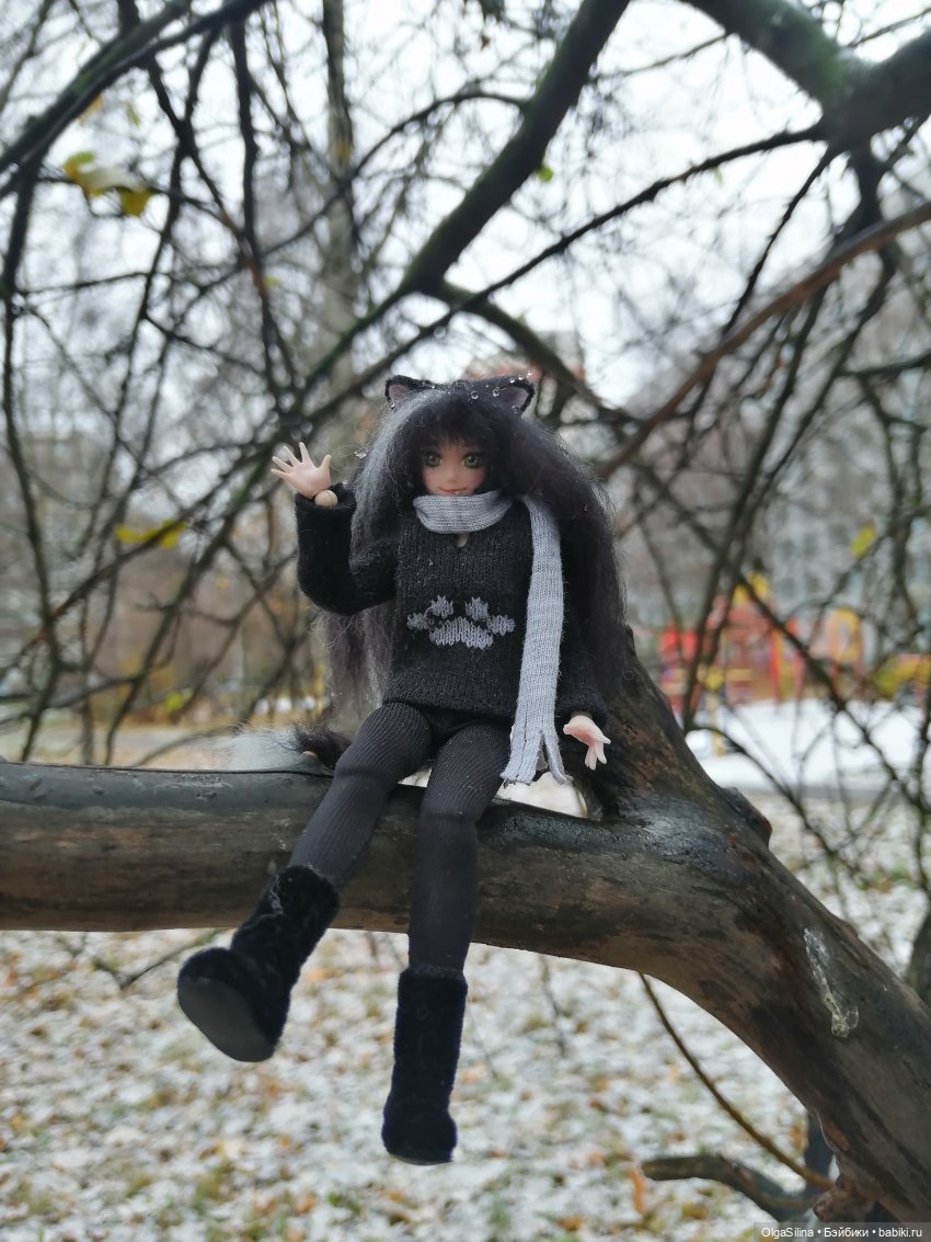 Аши - моя карманная кошка (фото 8)