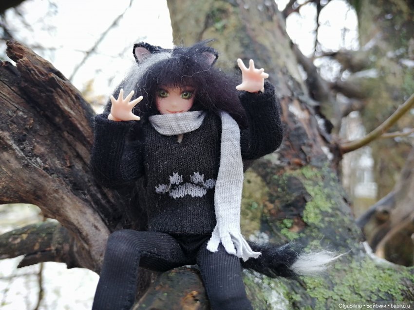 Аши - моя карманная кошка