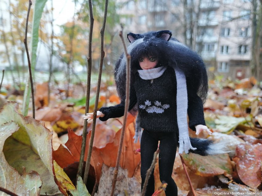 Аши - моя карманная кошка