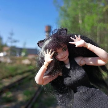 Аши - моя карманная кошка.