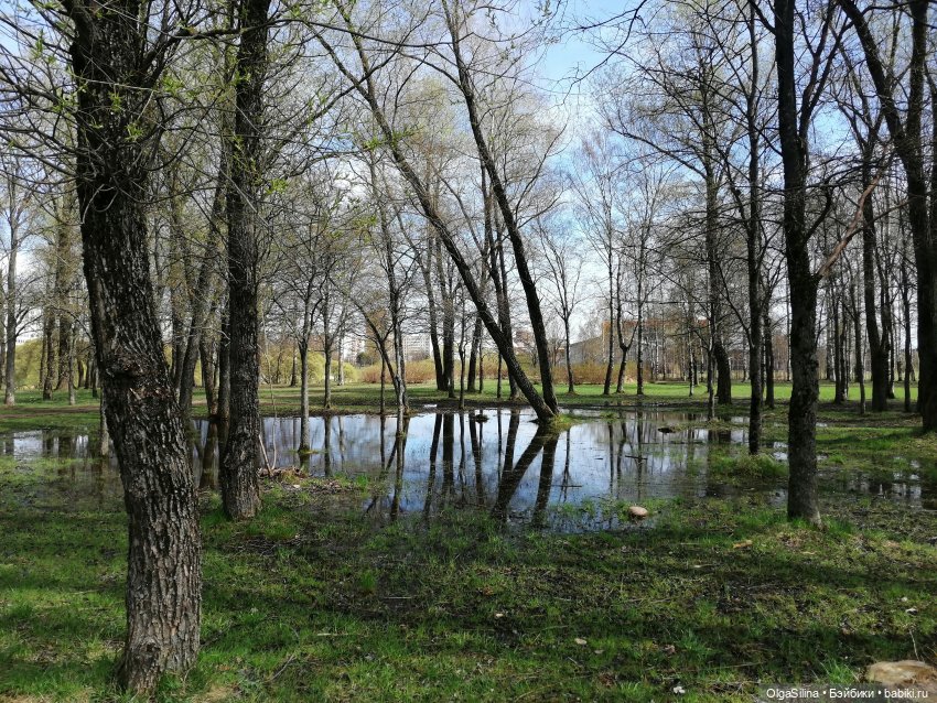 Рокс и Джиро. Весенняя прогулка (часть 2)