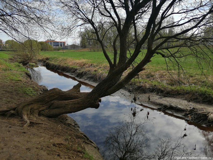 Рокс и Джиро. Весенняя прогулка (часть 2)