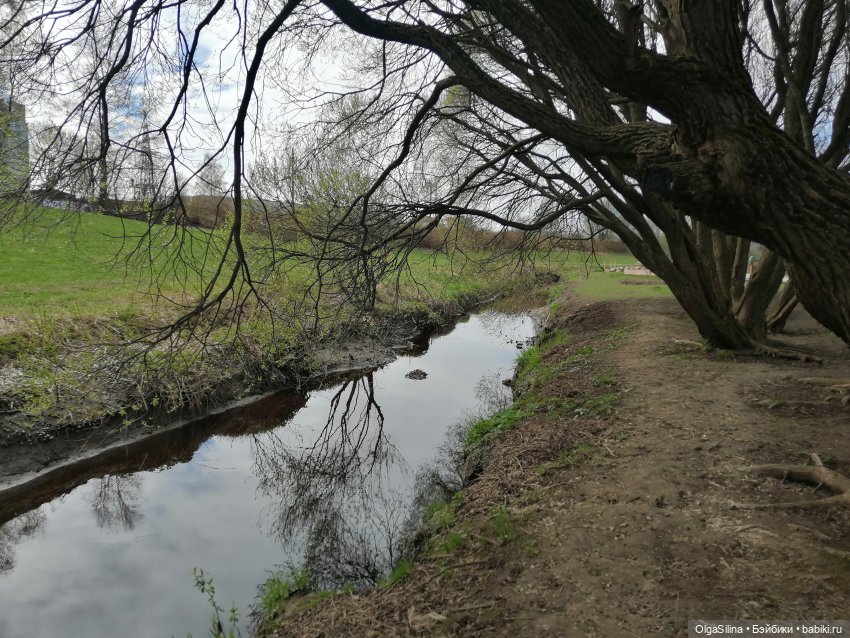 Рокс и Джиро. Весенняя прогулка (часть 2)