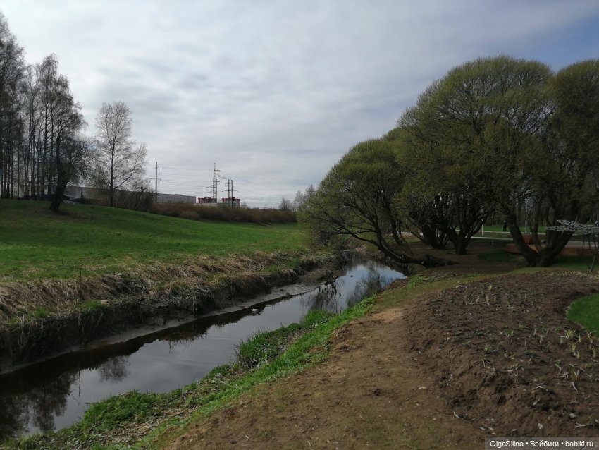 Рокс и Джиро. Весенняя прогулка (часть 2) (фото 7)