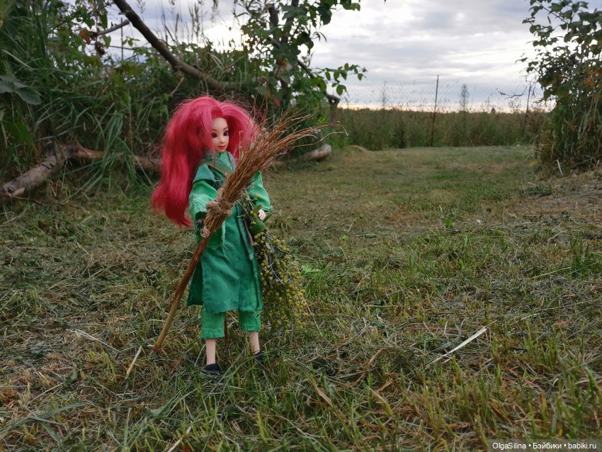 Полёт Мэгги — Кукольные фотоистории и сериалы: комиксы