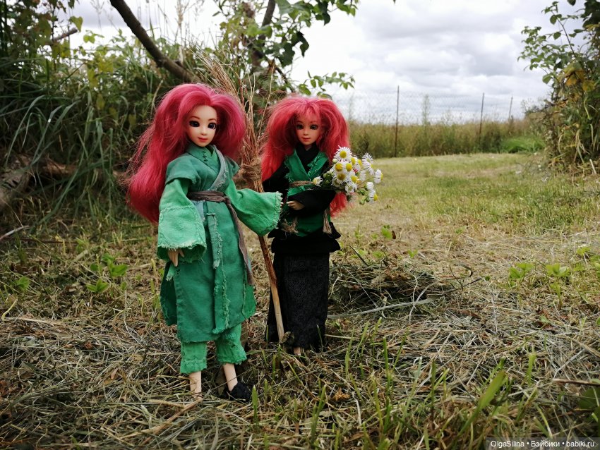 Полёт Рин — Кукольные фотоистории и сериалы: комиксы