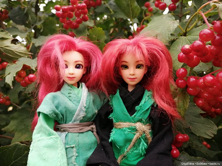 Полёт Рин — Кукольные фотоистории и сериалы: комиксы