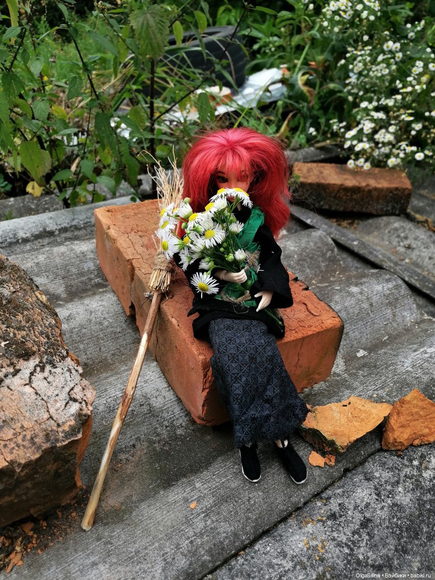 Полёт Рин — Кукольные фотоистории и сериалы: комиксы