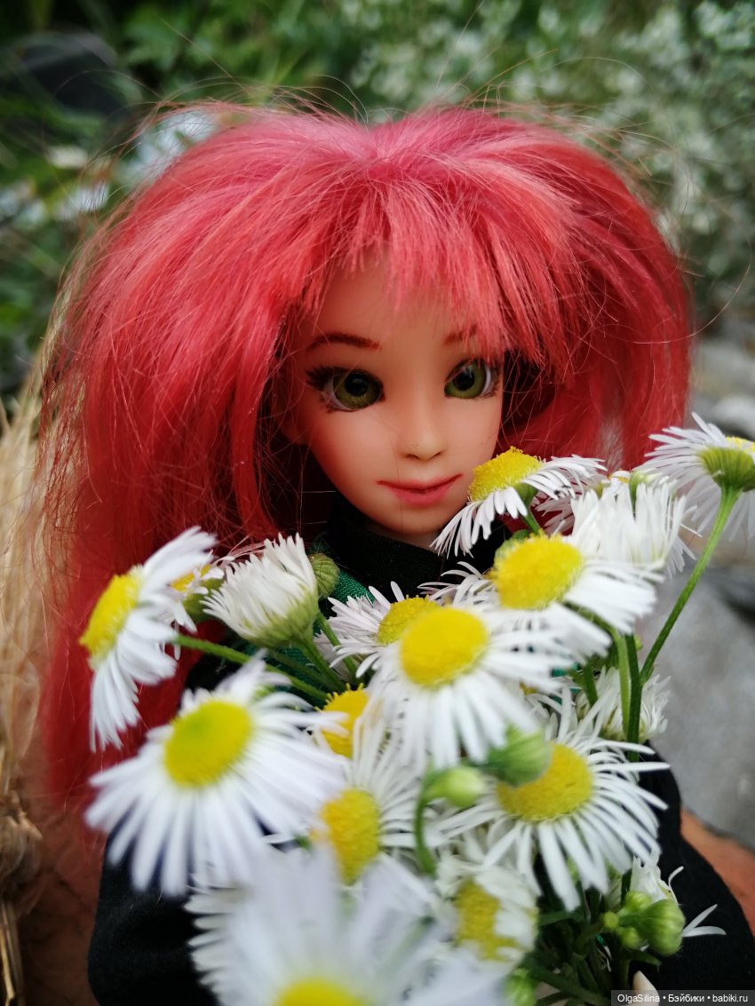 Полёт Рин — Кукольные фотоистории и сериалы: комиксы