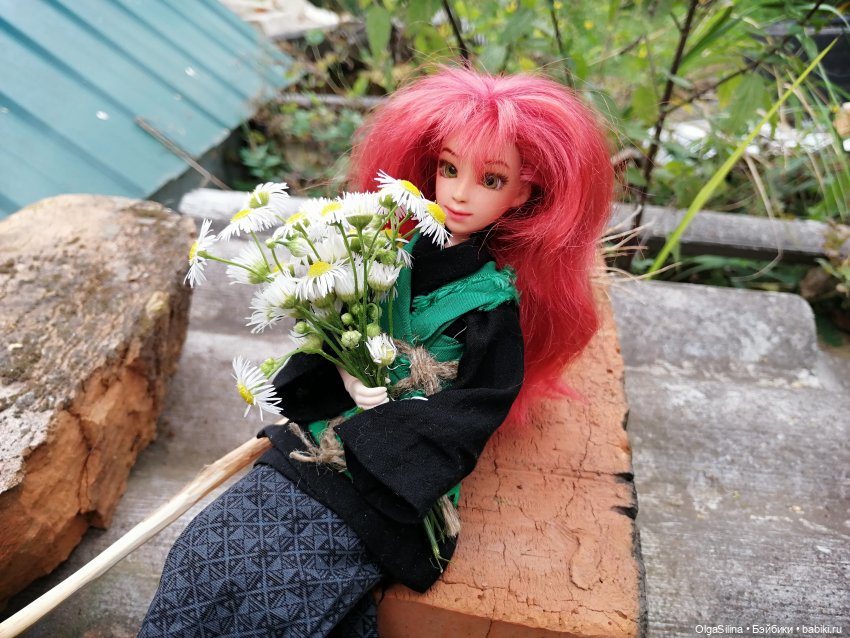 Полёт Рин — Кукольные фотоистории и сериалы: комиксы