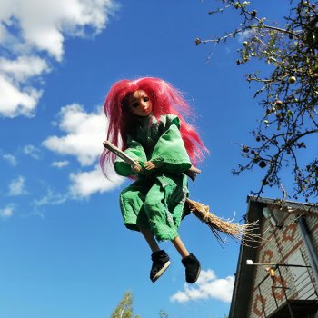 Полёт Мэгги.