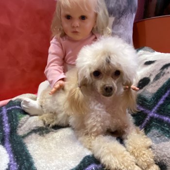 Маруся и её любимые домашние питомцы