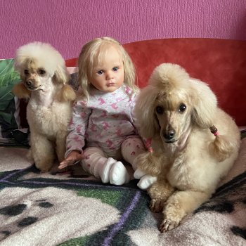 Добрая милая сказка о малышке Марусе и её пушистых няньках