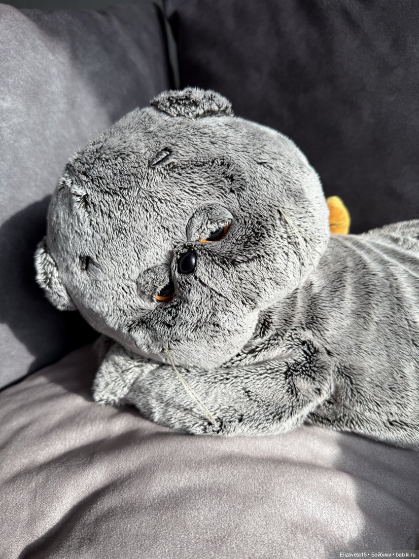 Ее Высочество, принцесса Горди (фото 10)