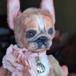 Французский бульдог Круассанчик