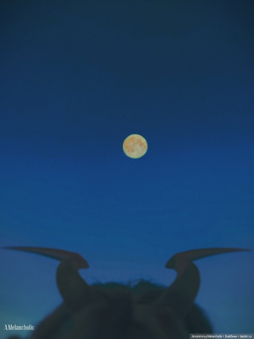 Фрэнни — Куклы Monster High и Ever After High: G1 (фото 9)