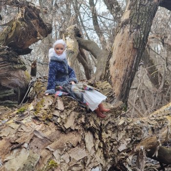 Возвращение или как мы съездили в деревню.