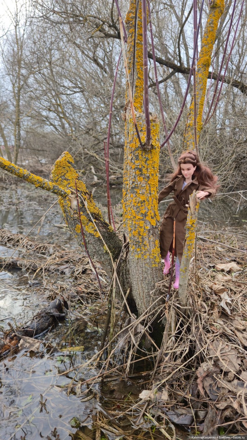 Продолжение. Прогулка по лесу с Гермионой (фото 4)