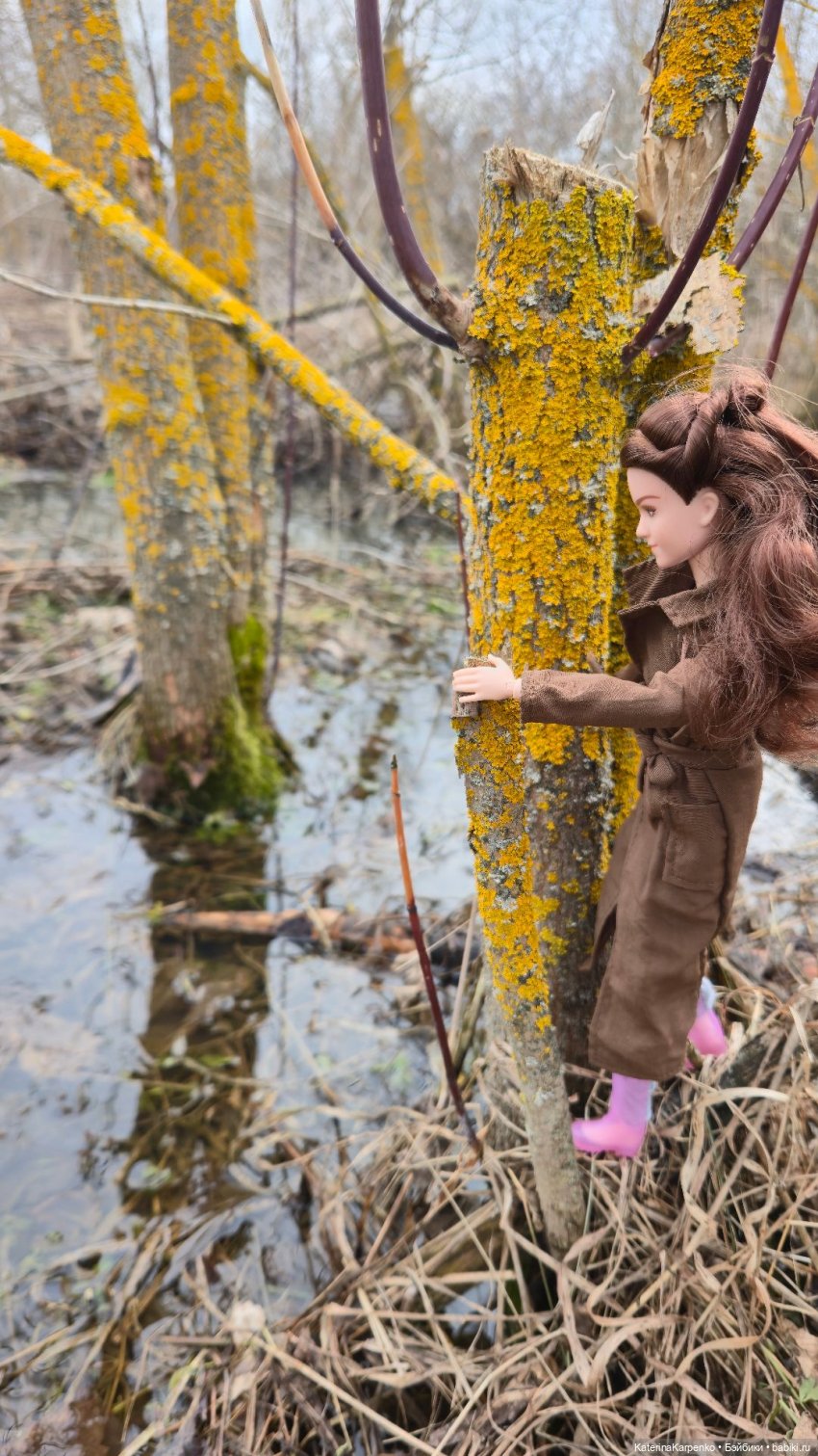 Продолжение. Прогулка по лесу с Гермионой (фото 3)