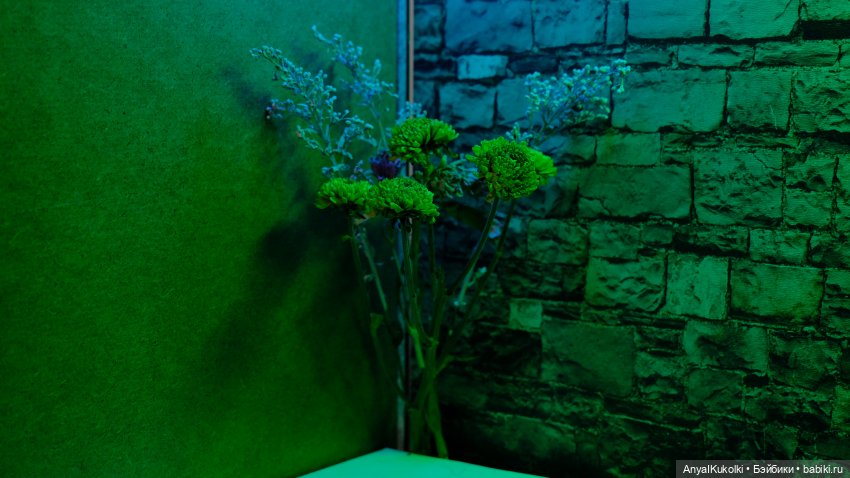 Фотоистории Ани и Куколок/ "...И вспыхнет пламя" (фото 4)