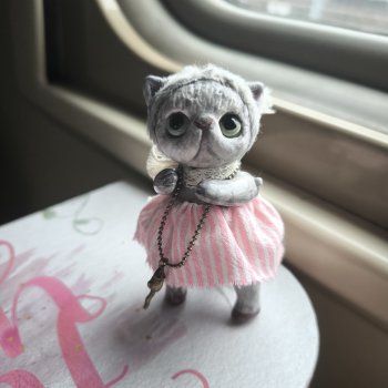 Котики Мяу
