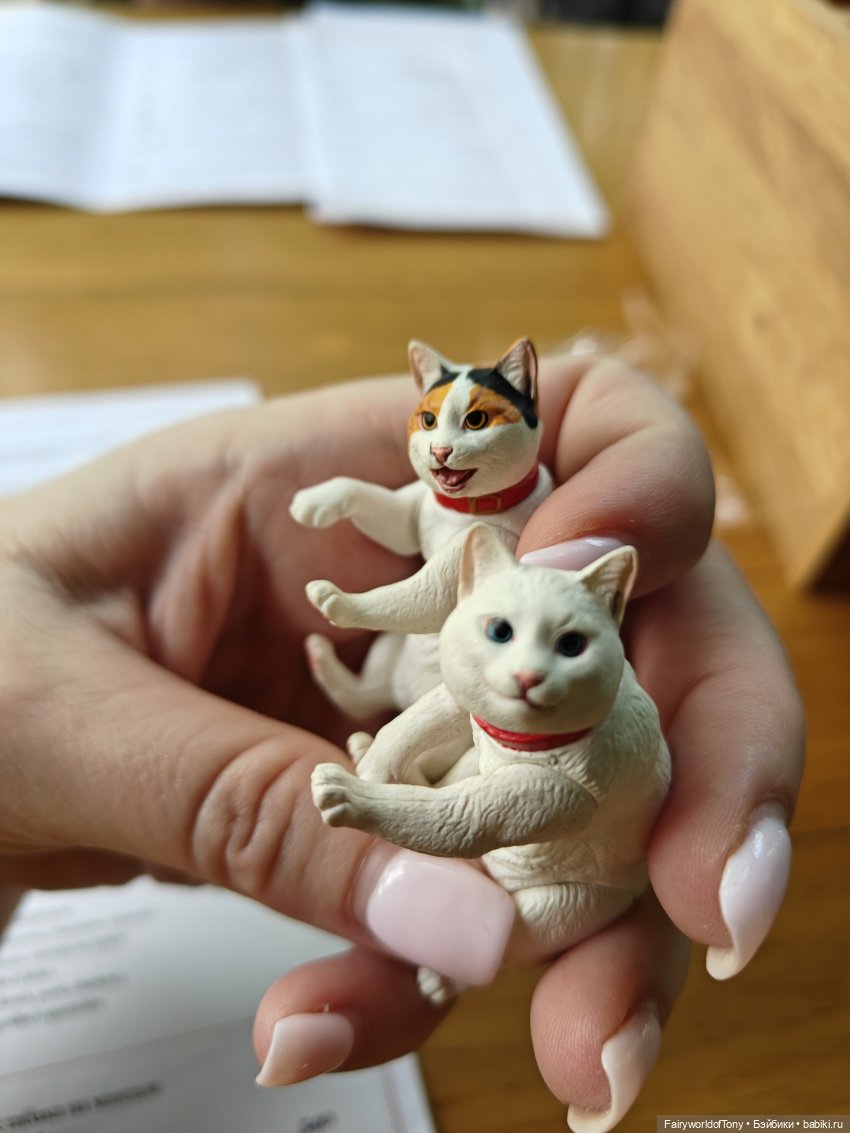 Коты