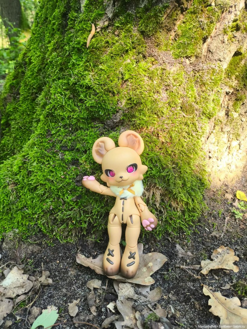 Тедди — Разные куклы BJD (БЖД): редкие бренды (фото 3)