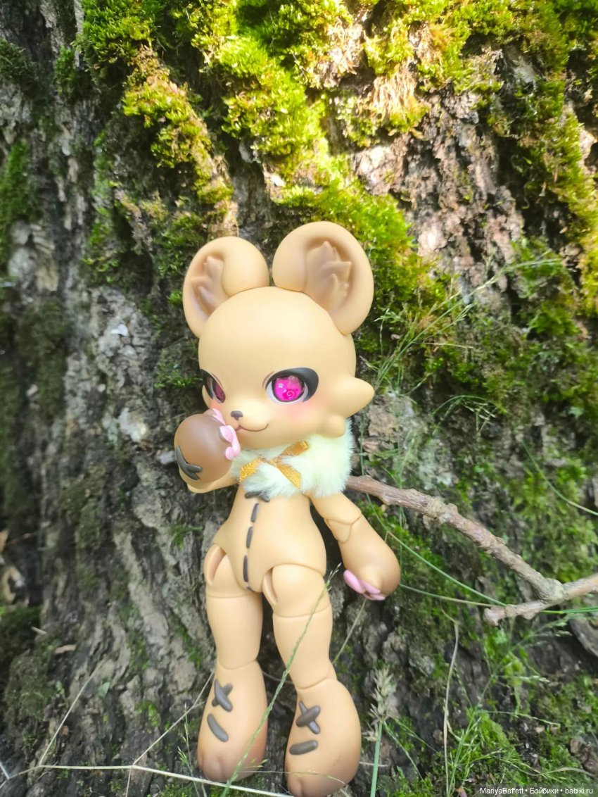 Тедди — Разные куклы BJD (БЖД): редкие бренды