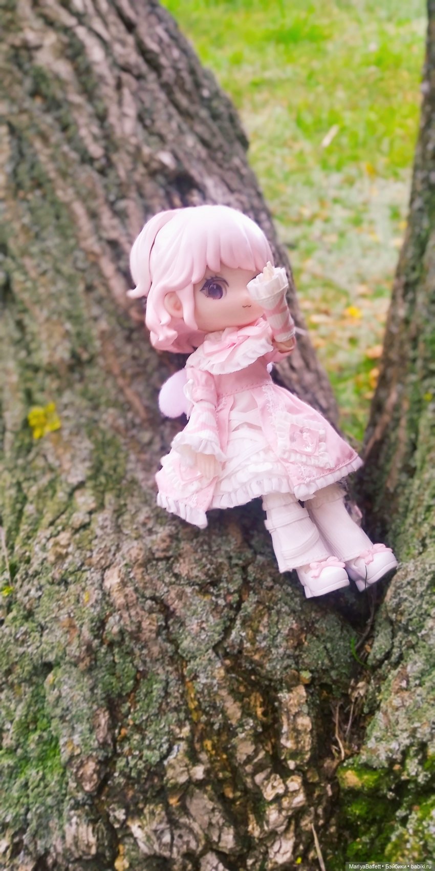 Поиск пчёл — Фотоистории с куклами BJD (БЖД): сериалы (фото 3)