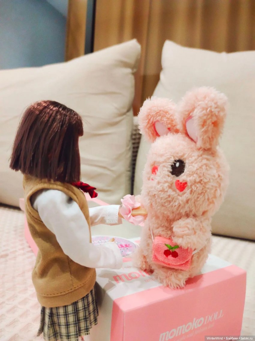 Моя первая Momoko — Куклы Momoko и Ruruko (Petworks (фото 7)