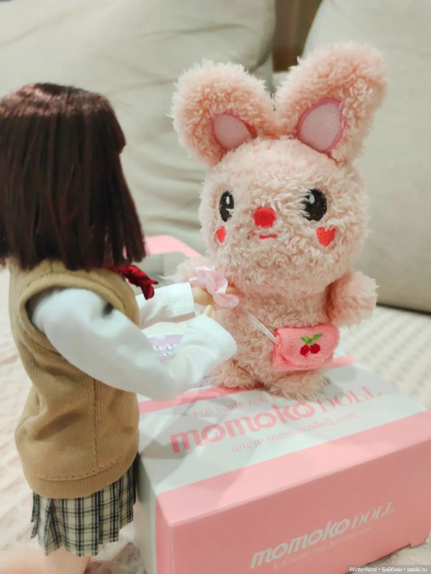 Моя первая Momoko — Куклы Momoko и Ruruko (Petworks (фото 6)