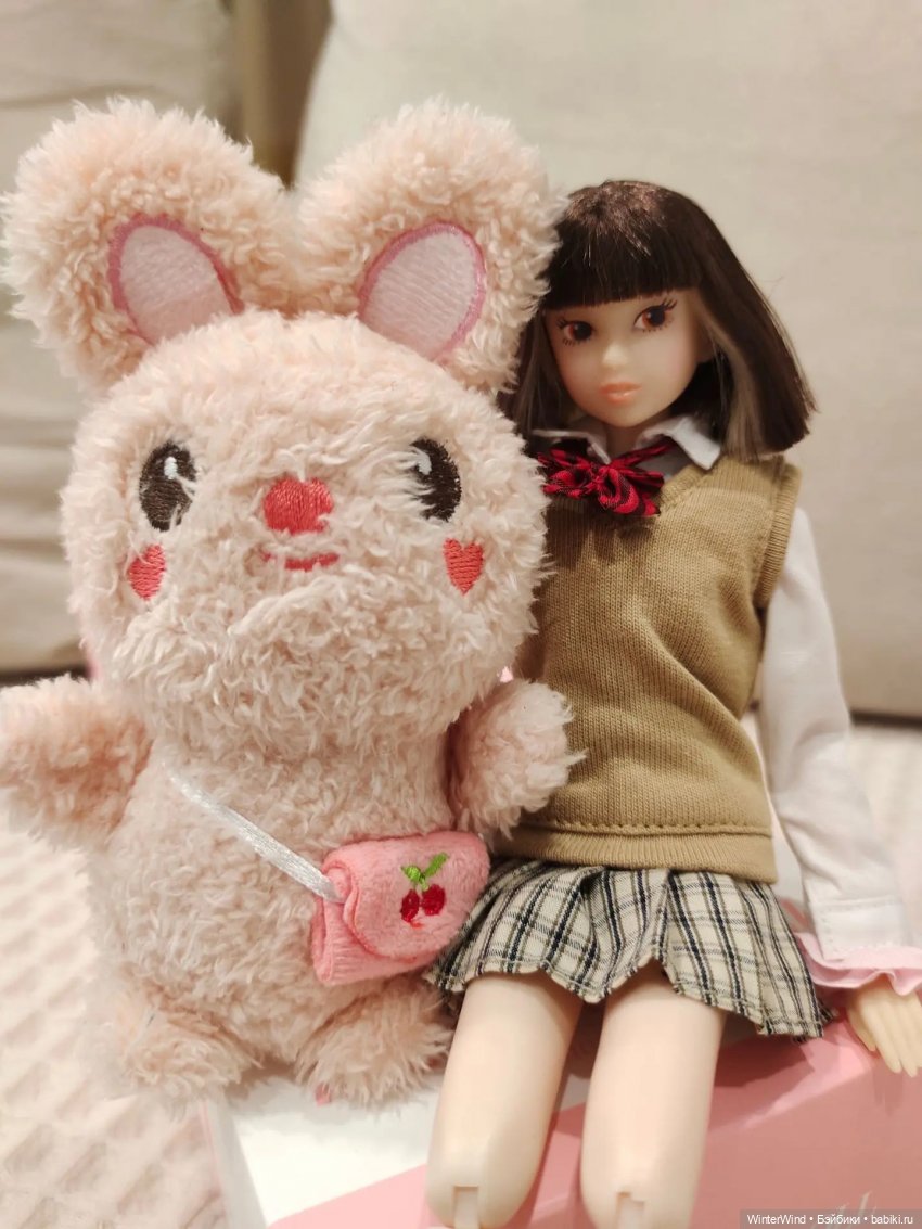 Моя первая Momoko — Куклы Momoko и Ruruko (Petworks (фото 8)