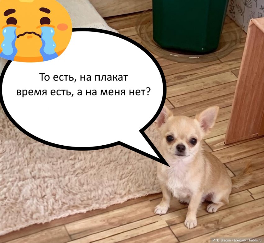 Демонический сад госпожи Кураями. Глава 1. Самый обычный день