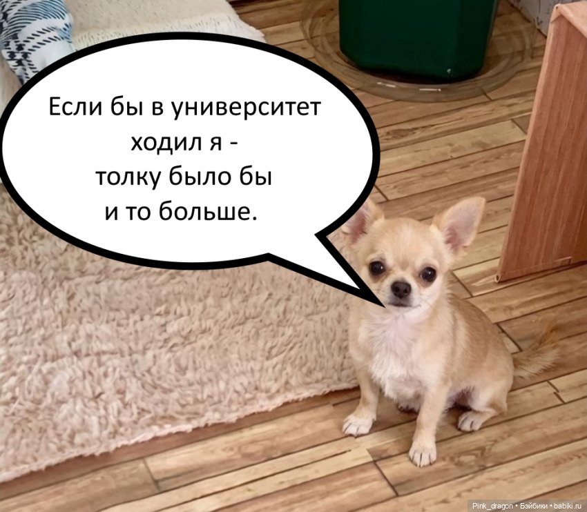 Демонический сад госпожи Кураями. Глава 1. Самый обычный день