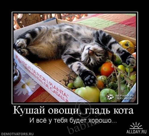 Позитифф!! Прибавила еще — Болталка и разговоры обо всем: жизнь