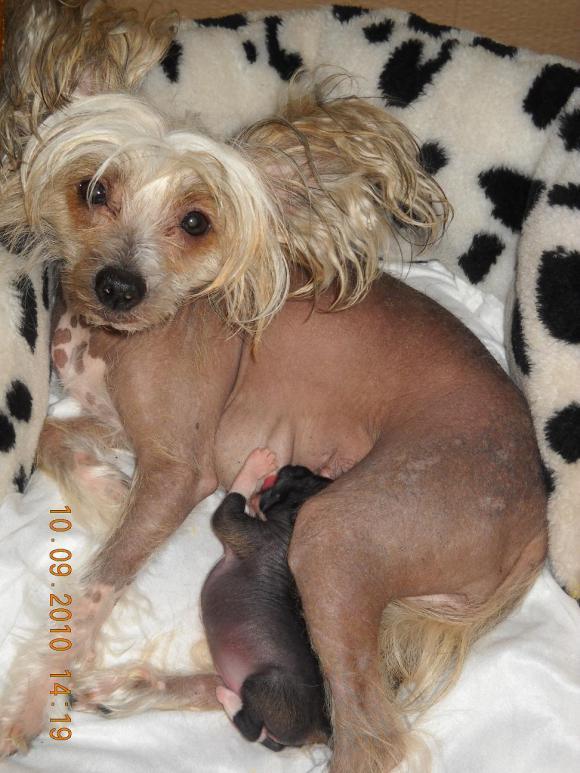 Мой сладкий БейБик Кэсси — Болталка и разговоры обо всем: жизнь (фото 10)