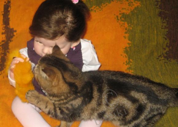 Мы так по вам соскучились! Кукла реборн Стешенька (фото 8)