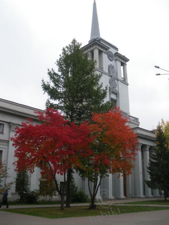 Несколько коротких мгновений, или Есть в осени первоначальной… | Бэйбики Несколько коротких мгновений, или Есть в осени первоначальной… (фото 3)